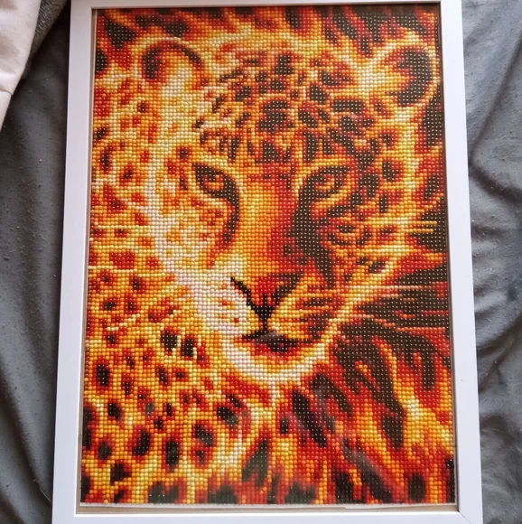 Framed diamond paintings